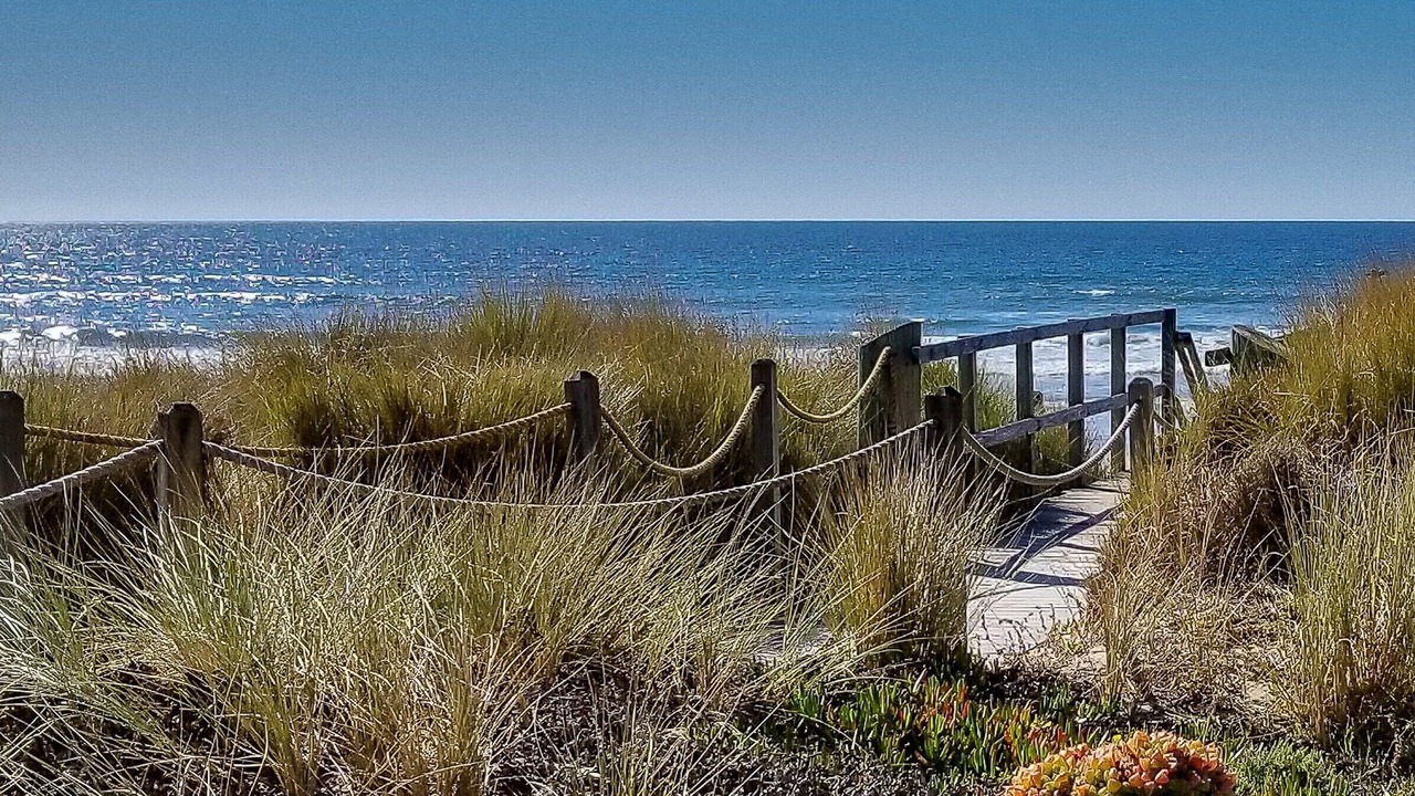 Photo of Others in Pajaro Dunes