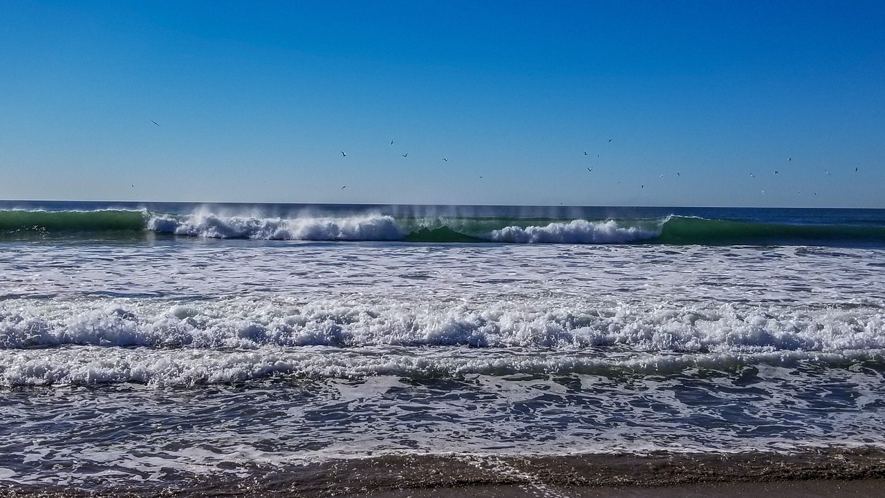 Photo of Others in Pajaro Dunes