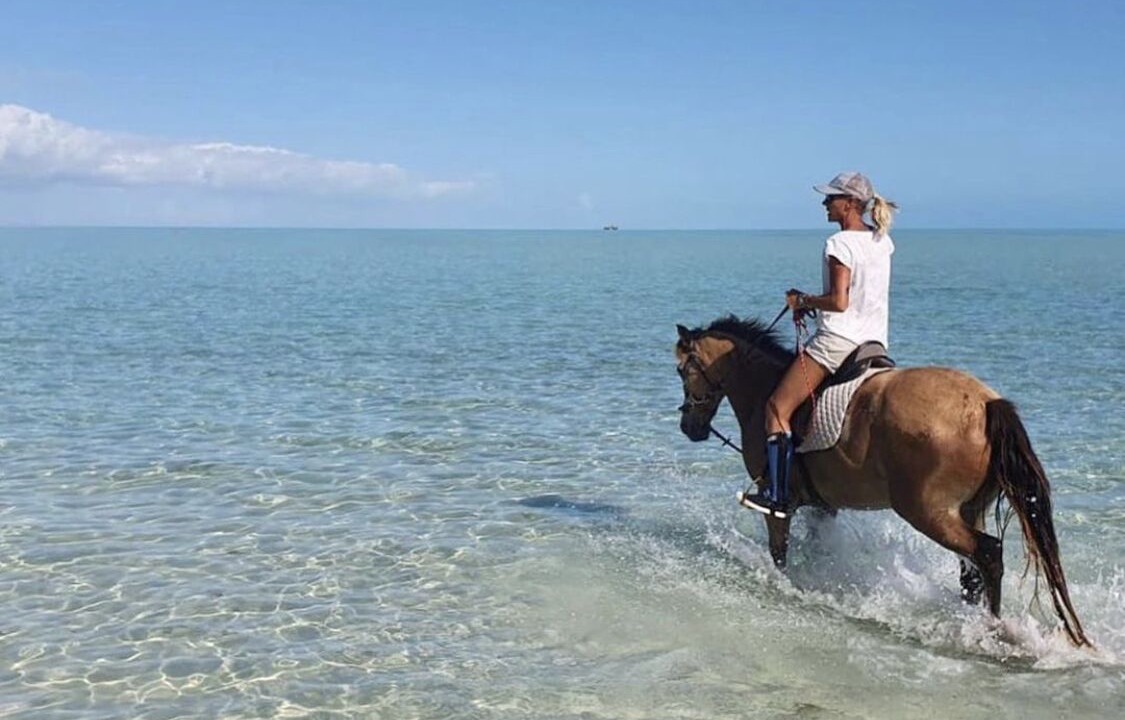 Photo of Others in Long Bay