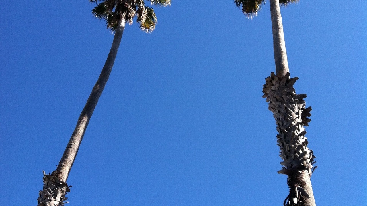 Photo of Others in Eastside Santa Cruz