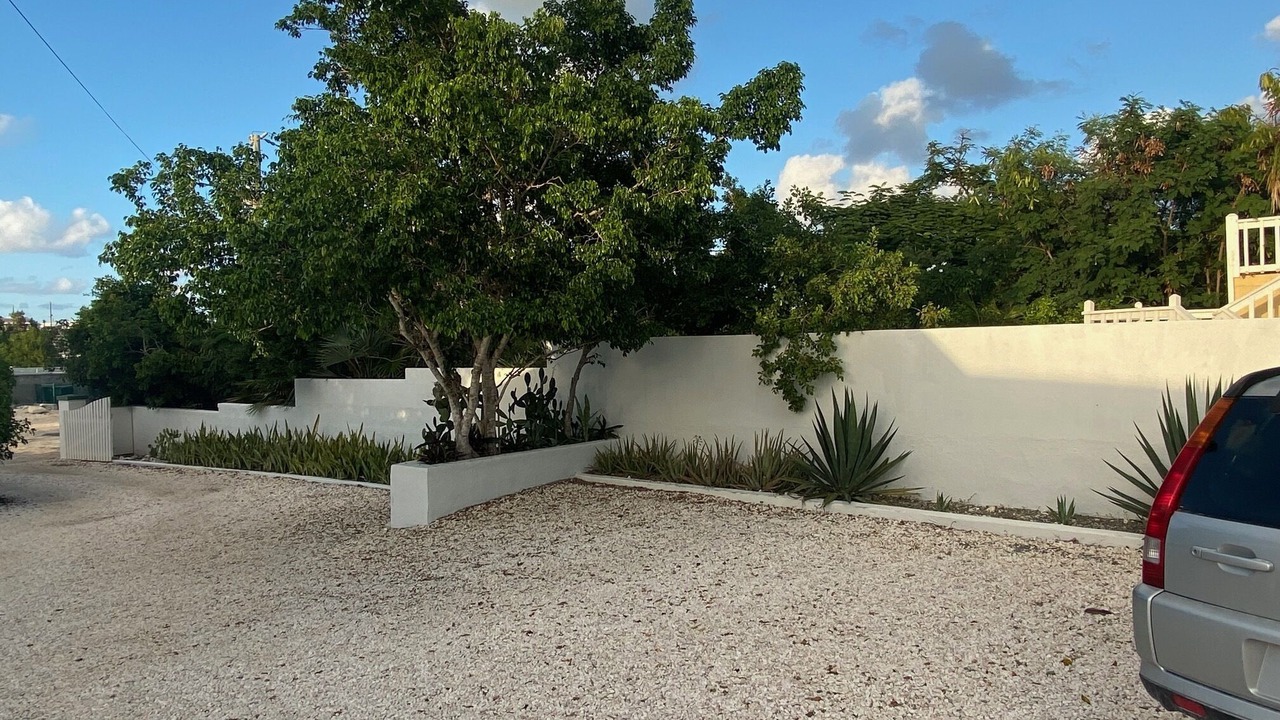 Photo of Others in Discovery Bay
