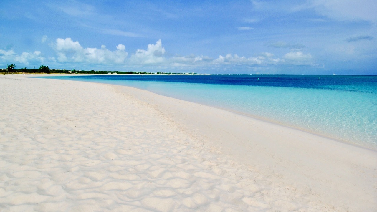 Photo of Others in The Bight
