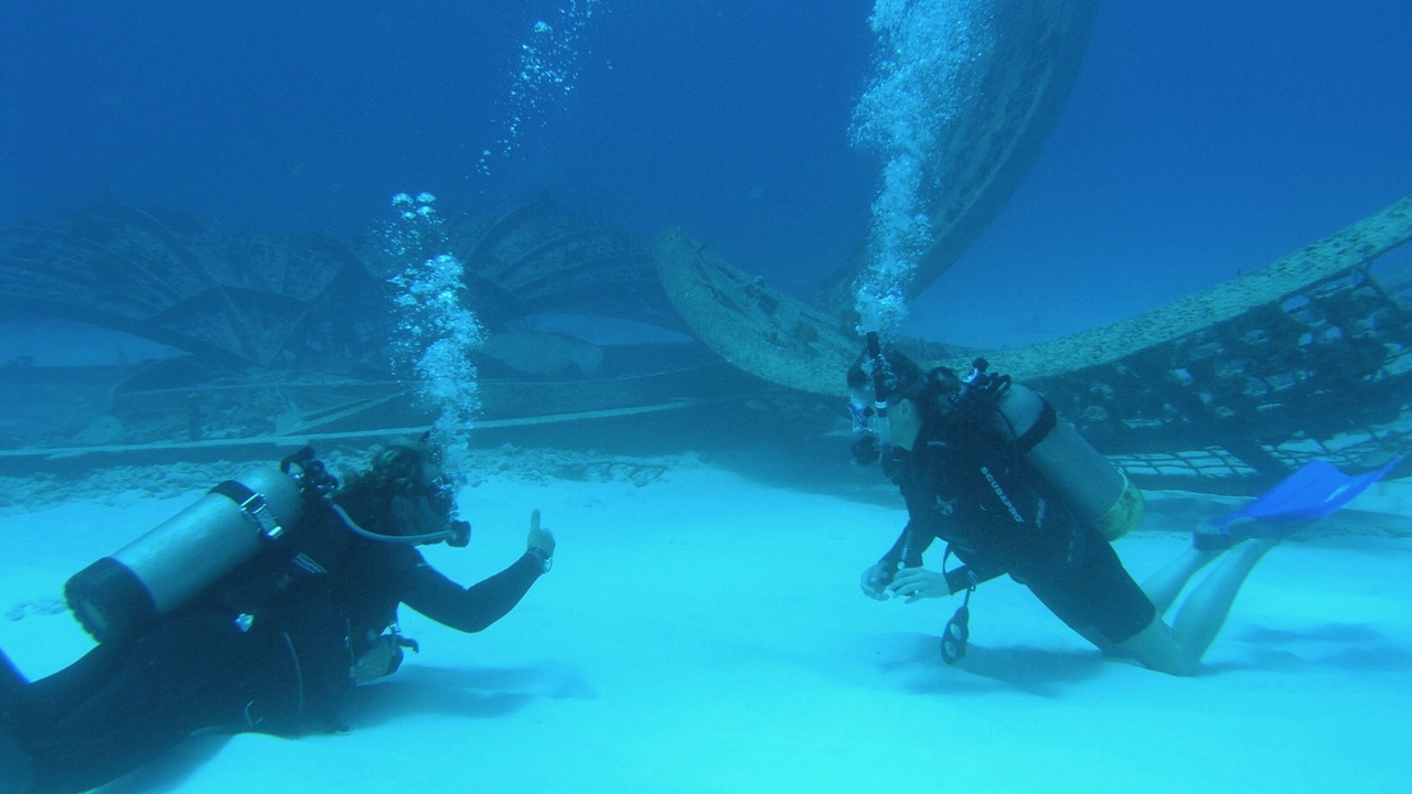 Photo of Others in The Bight