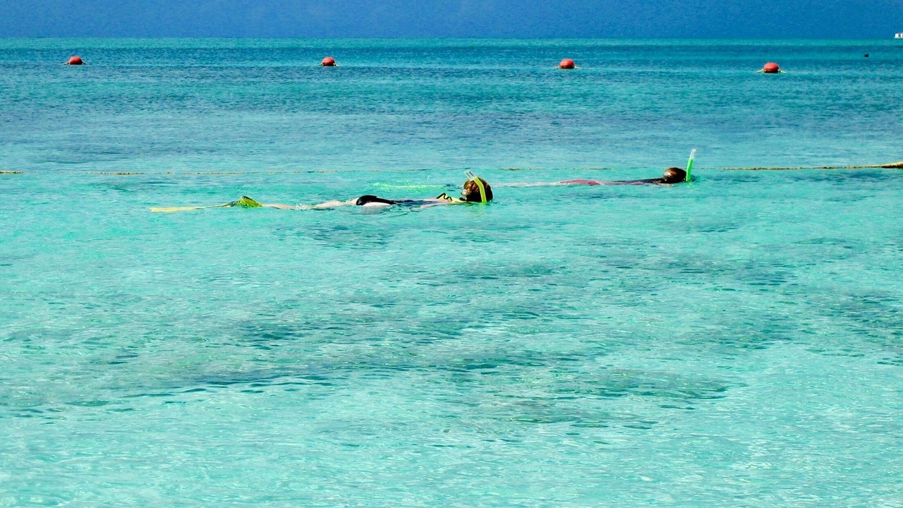 Photo of Others in The Bight
