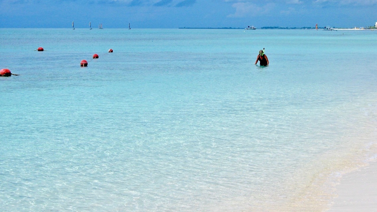 Photo of Others in The Bight