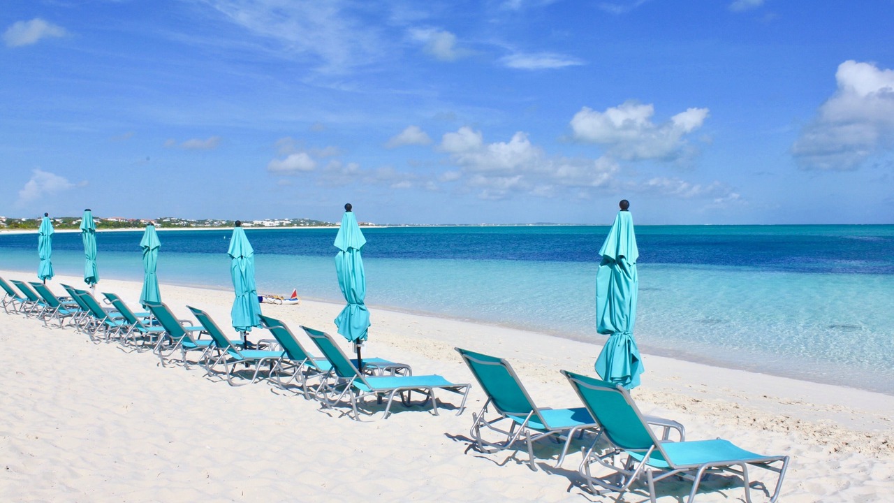 Photo of Others in The Bight