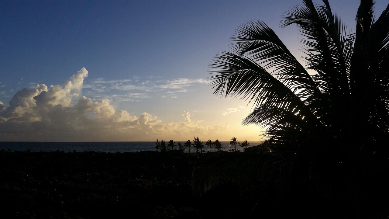 Photo of Others in Providenciales