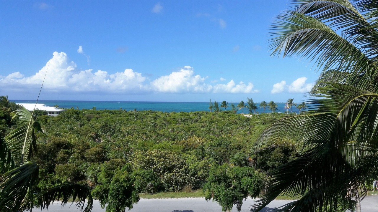 Photo of Others in Providenciales