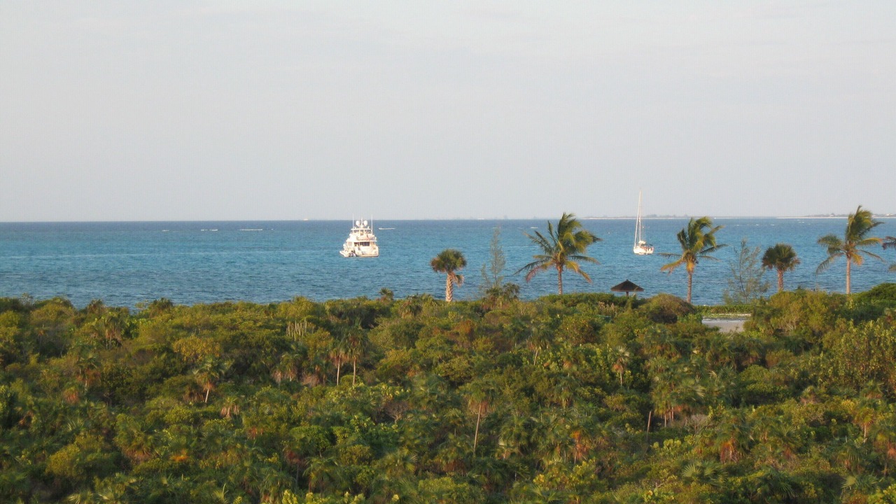 Photo of Others in Providenciales
