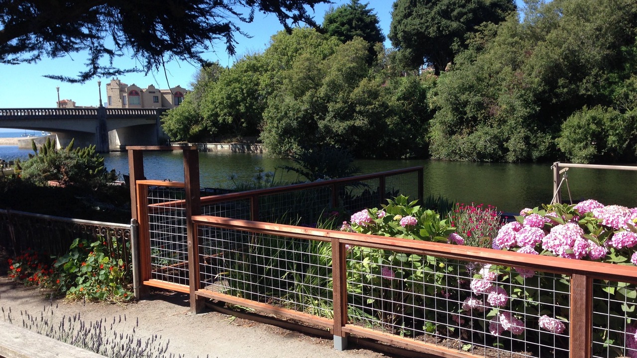 Photo of Others in Capitola