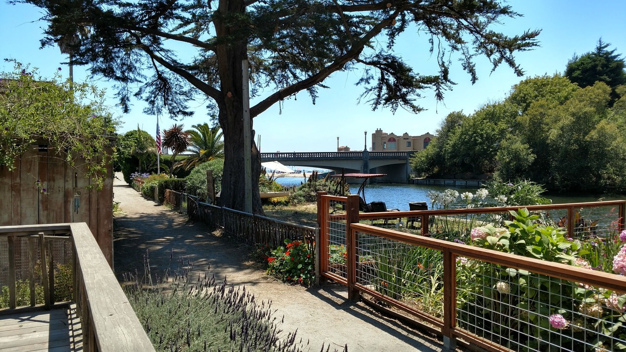 Photo of Others in Capitola
