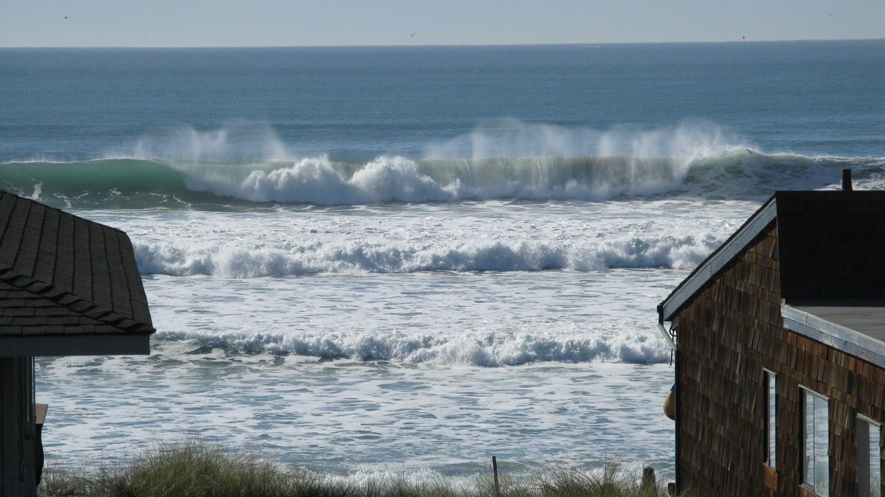 Photo of Others in Pajaro Dunes