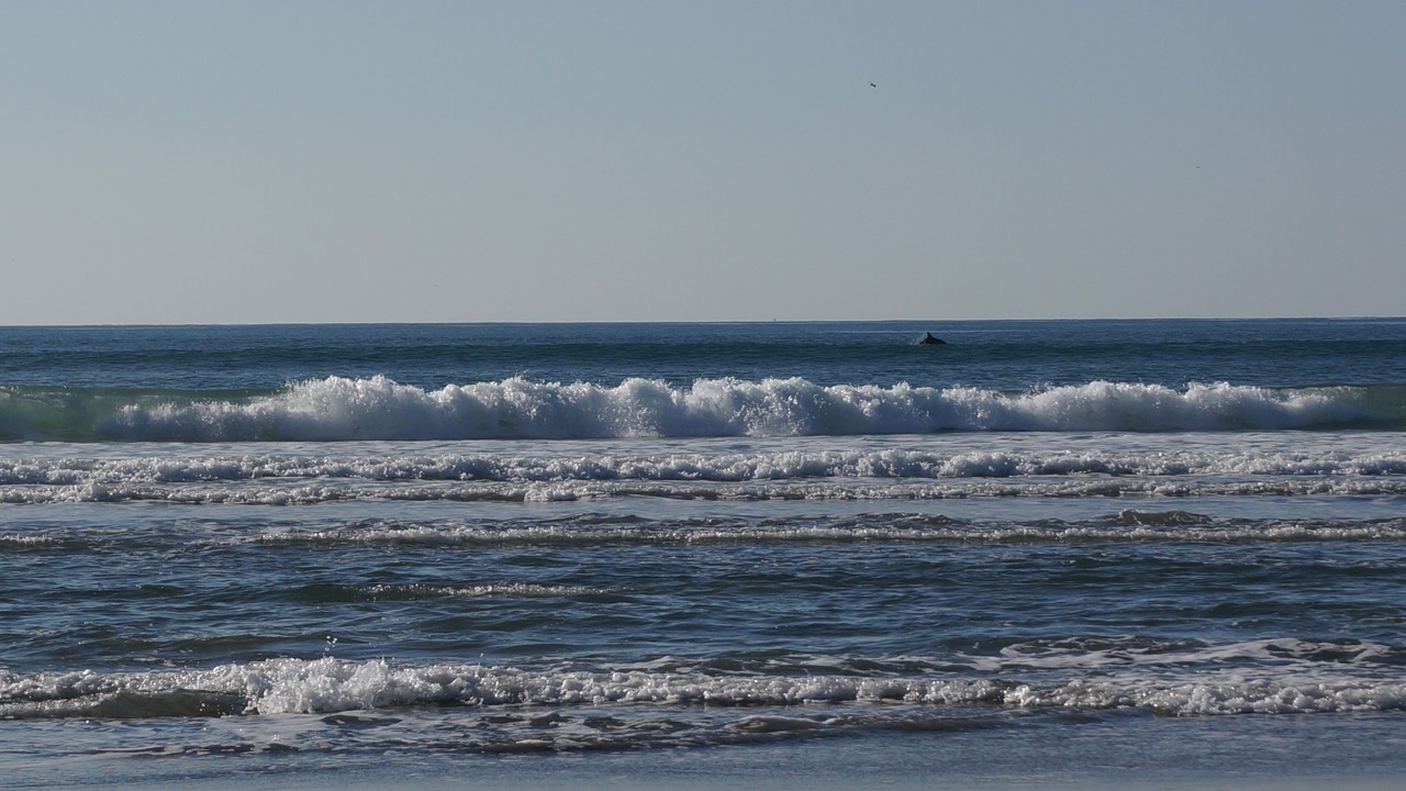 Photo of Others in Pajaro Dunes