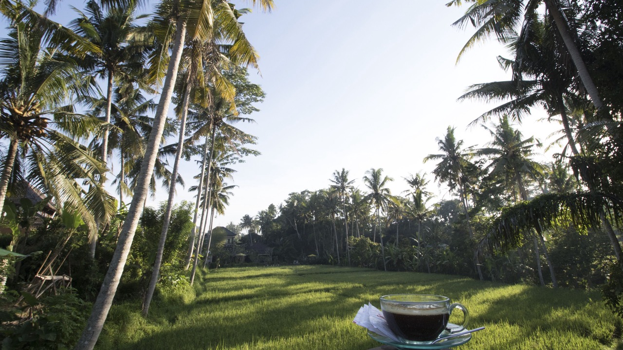 Photo of Outdoor in Ubud