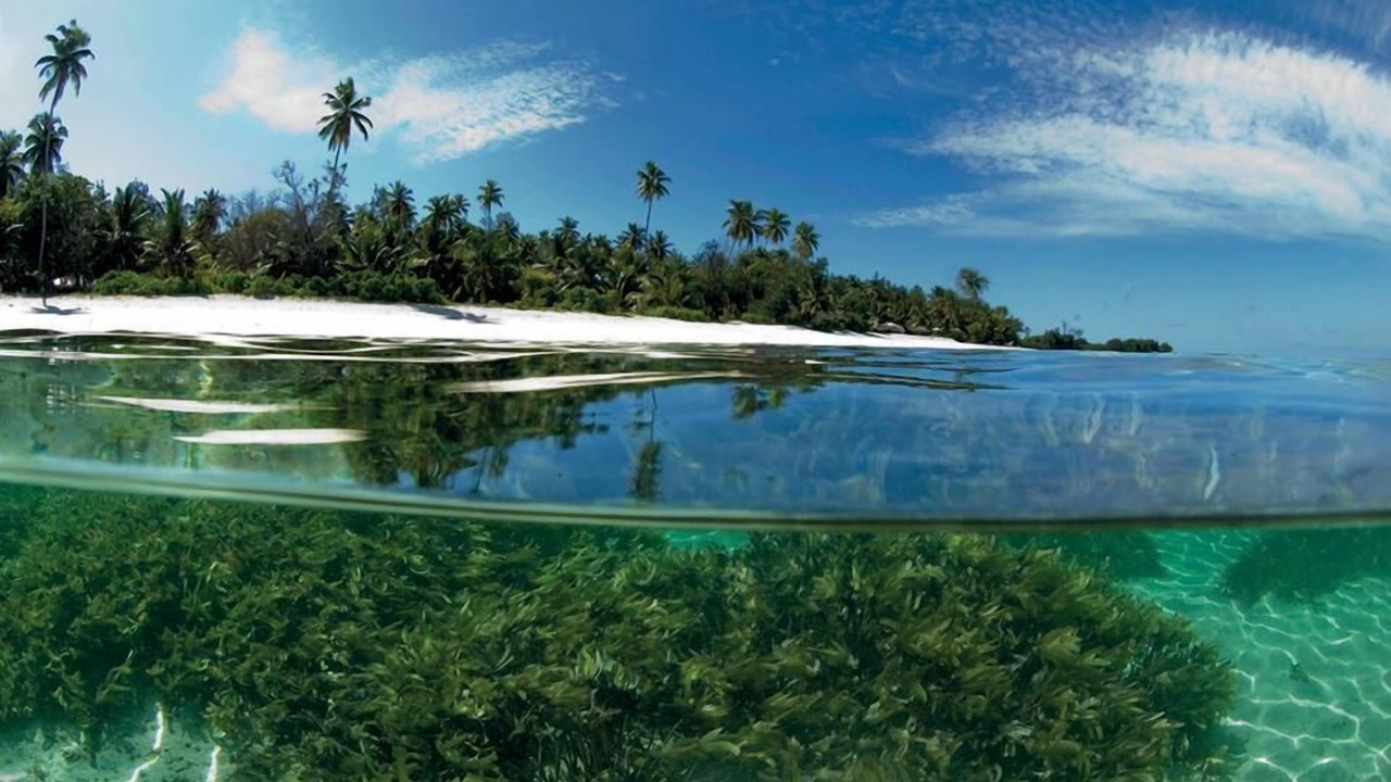 Photo of Others in Mahe Island