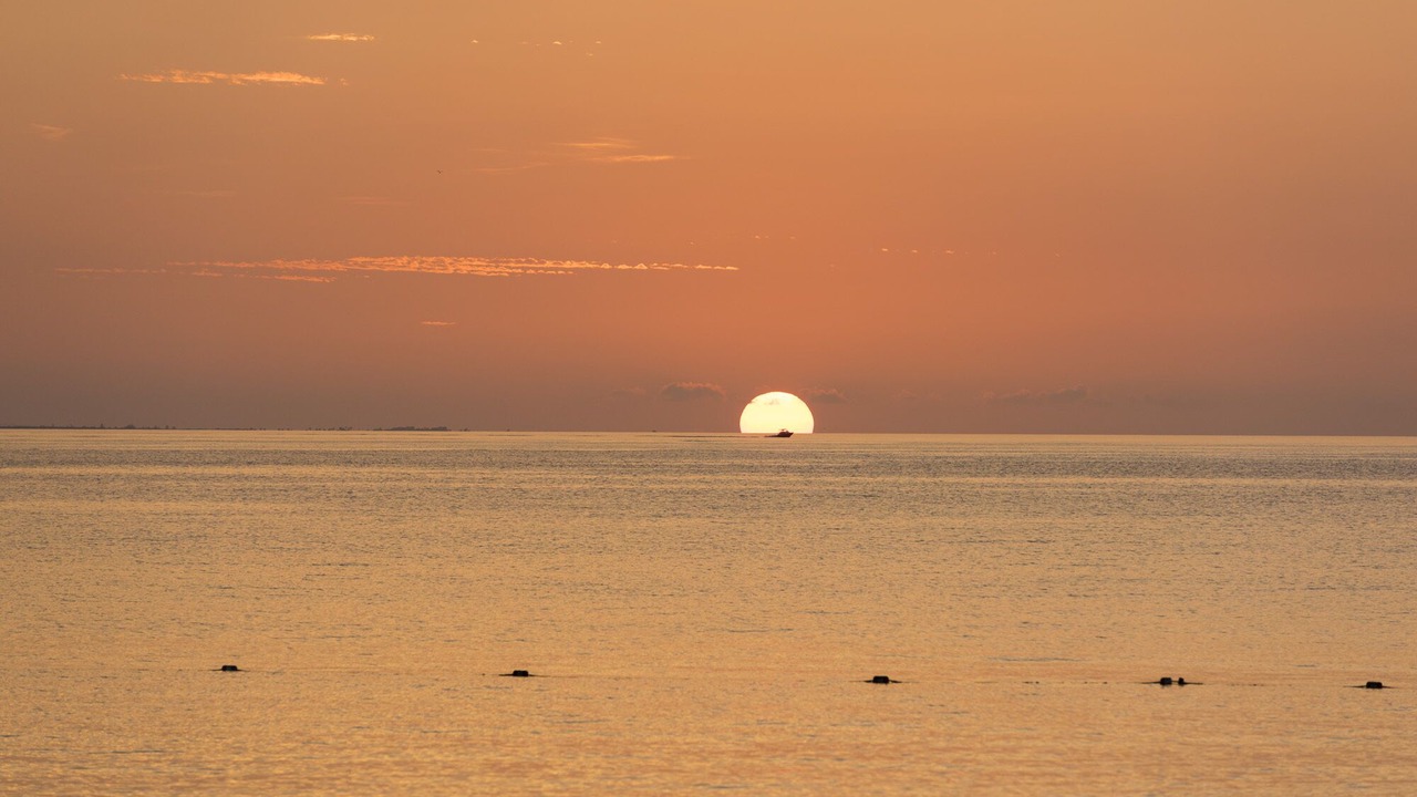 Photo of Others in Grace Bay