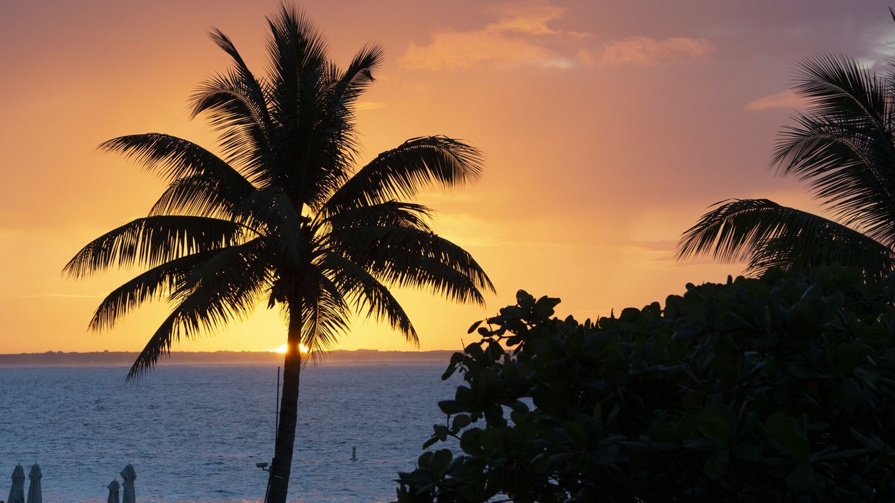 Photo of Others in Grace Bay