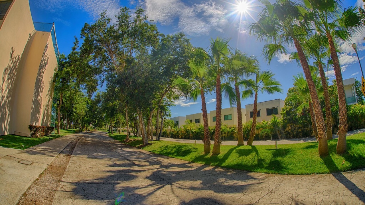 Photo of Outdoor in Chetumal