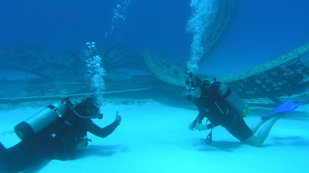 Photo of Others in The Bight