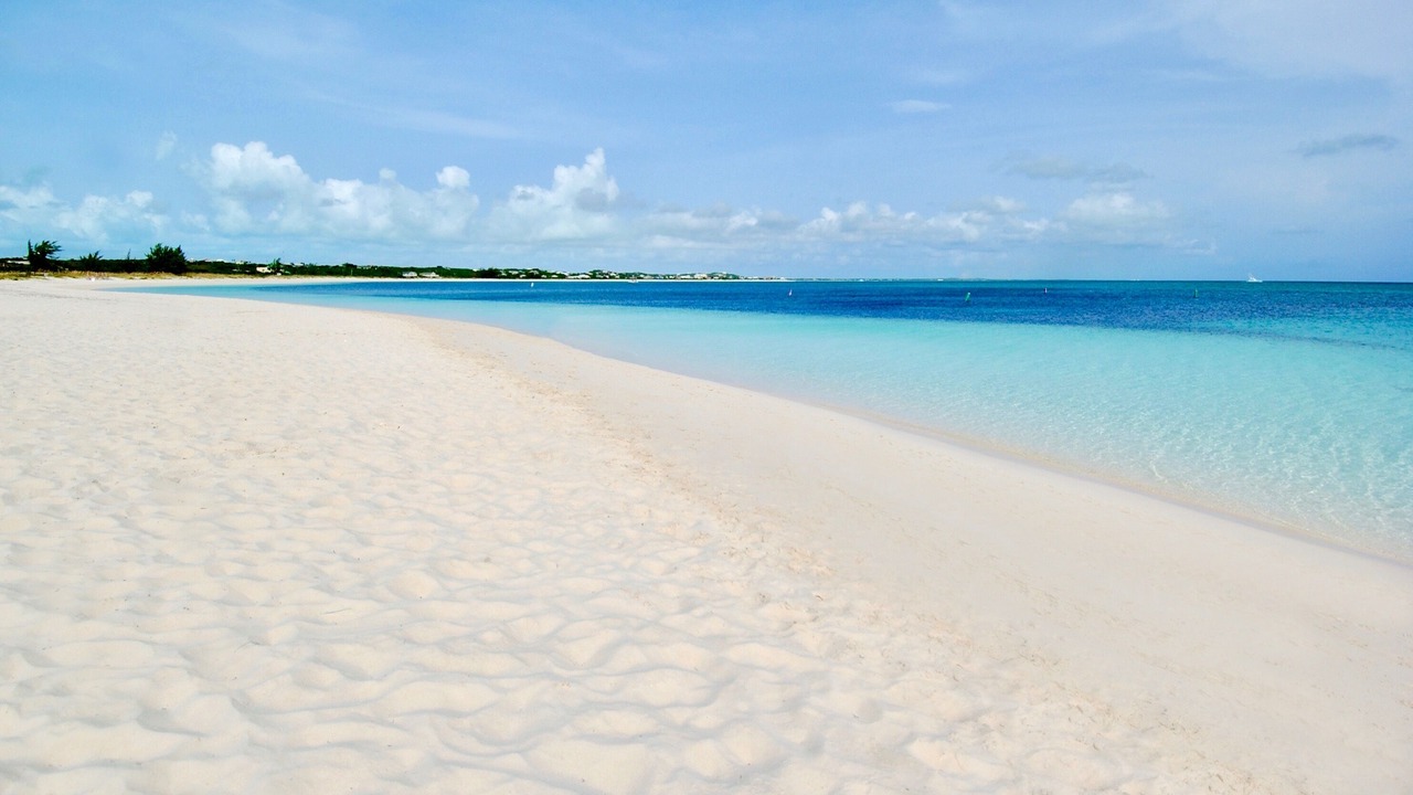 Photo of Others in The Bight