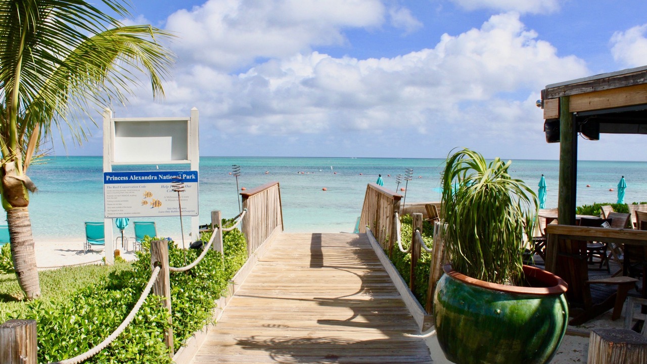 Photo of Others in The Bight