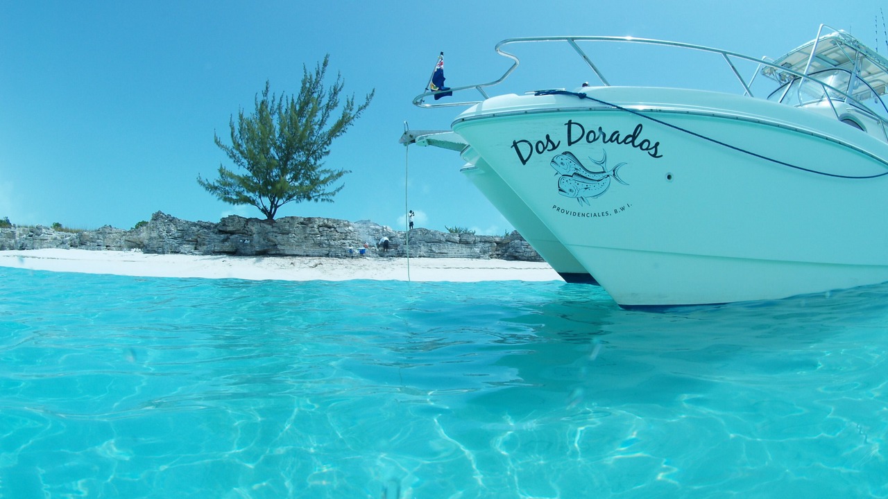 Photo of Outdoor in The Bight