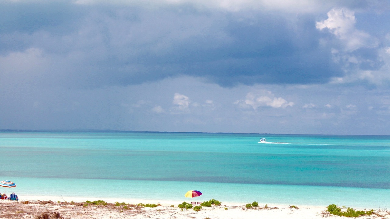 Photo of Others in The Bight