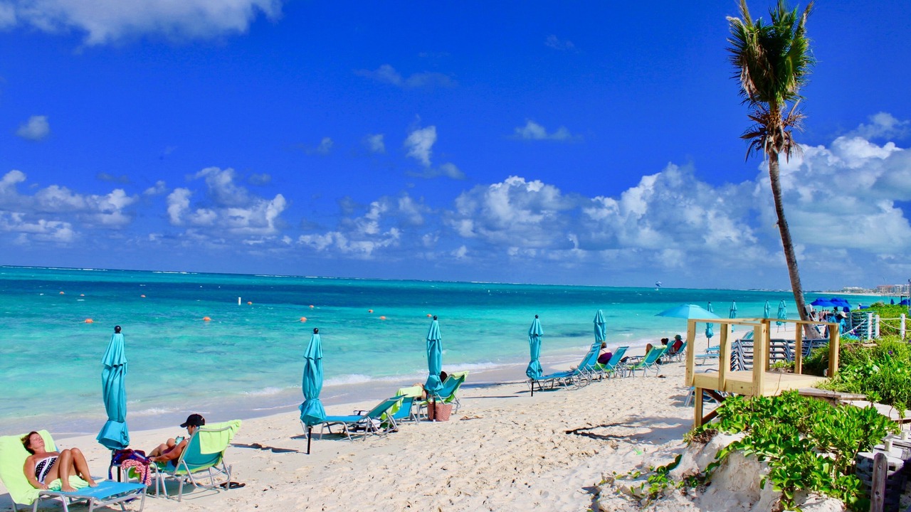 Photo of Others in The Bight