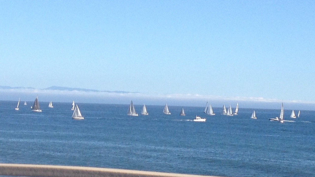 Photo of Others in Eastside Santa Cruz