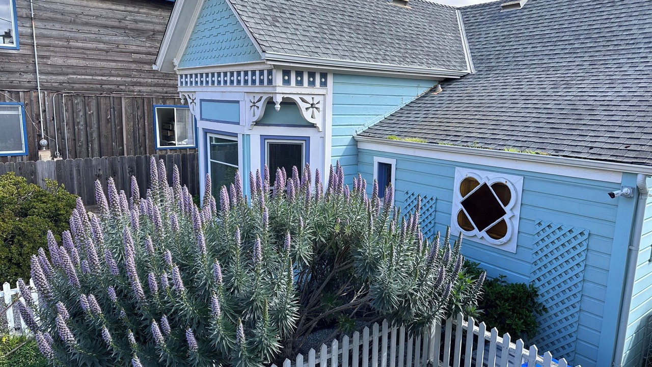 Photo of Outdoor in Eastside Santa Cruz