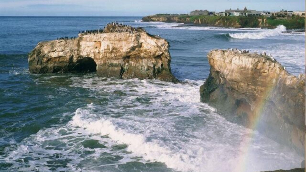 Photo of Others in Westside Santa Cruz
