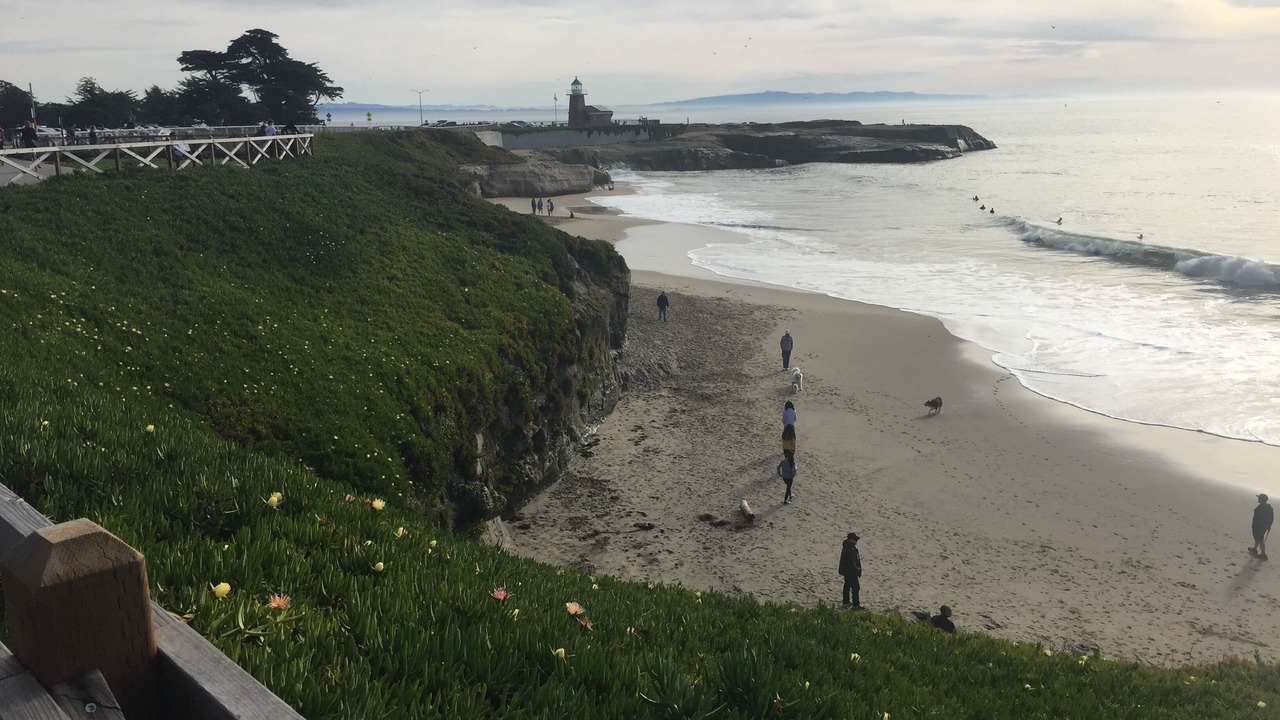 Photo of Others in Westside Santa Cruz