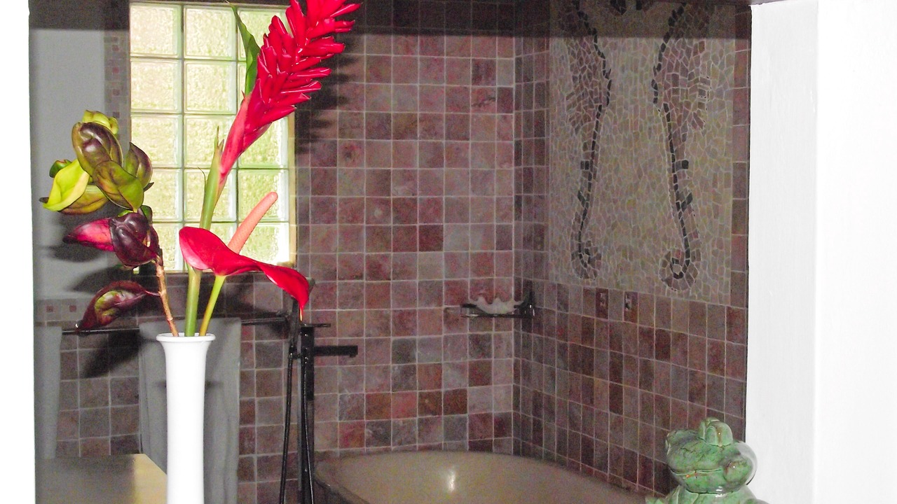 Photo of Bathroom in Mare Anglaise