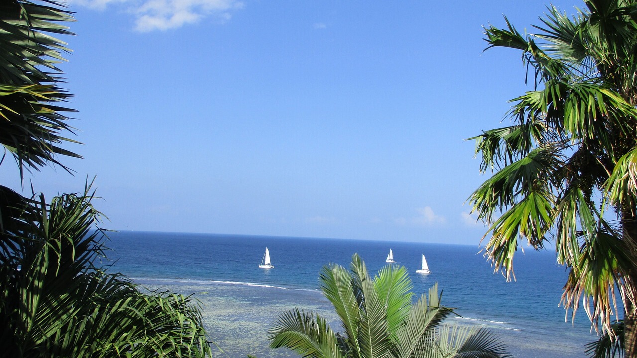 Photo of Others in Anse Royale