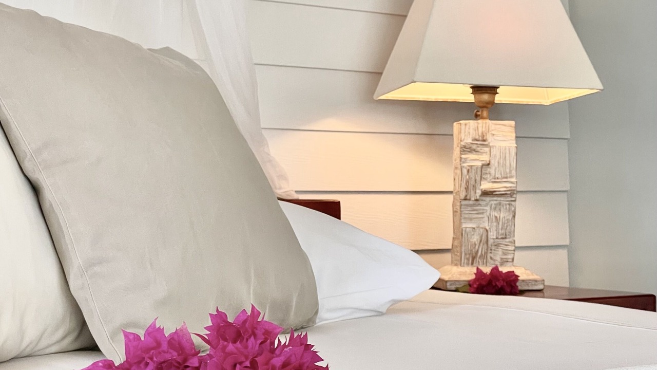 Photo of Bedroom in Anse Royale