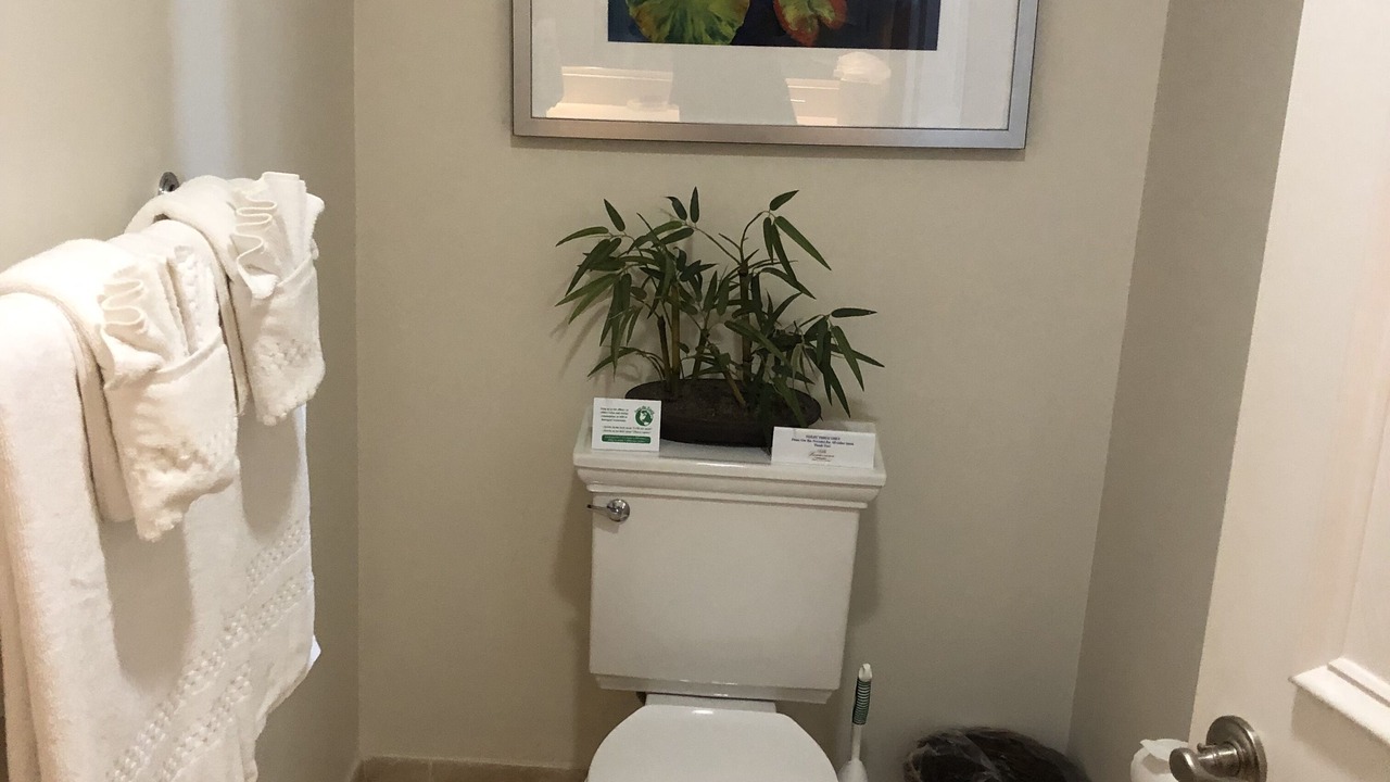 Photo of Bathroom in Grace Bay