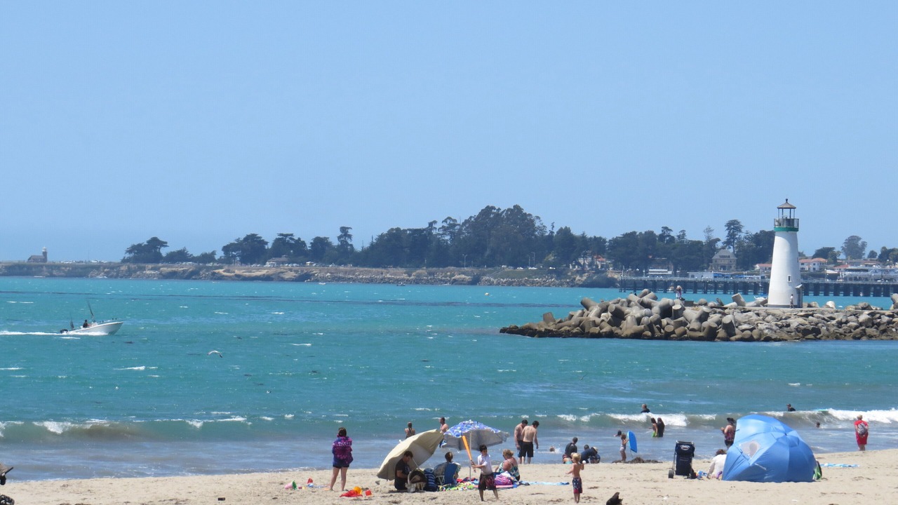 Photo of Others in Seabright