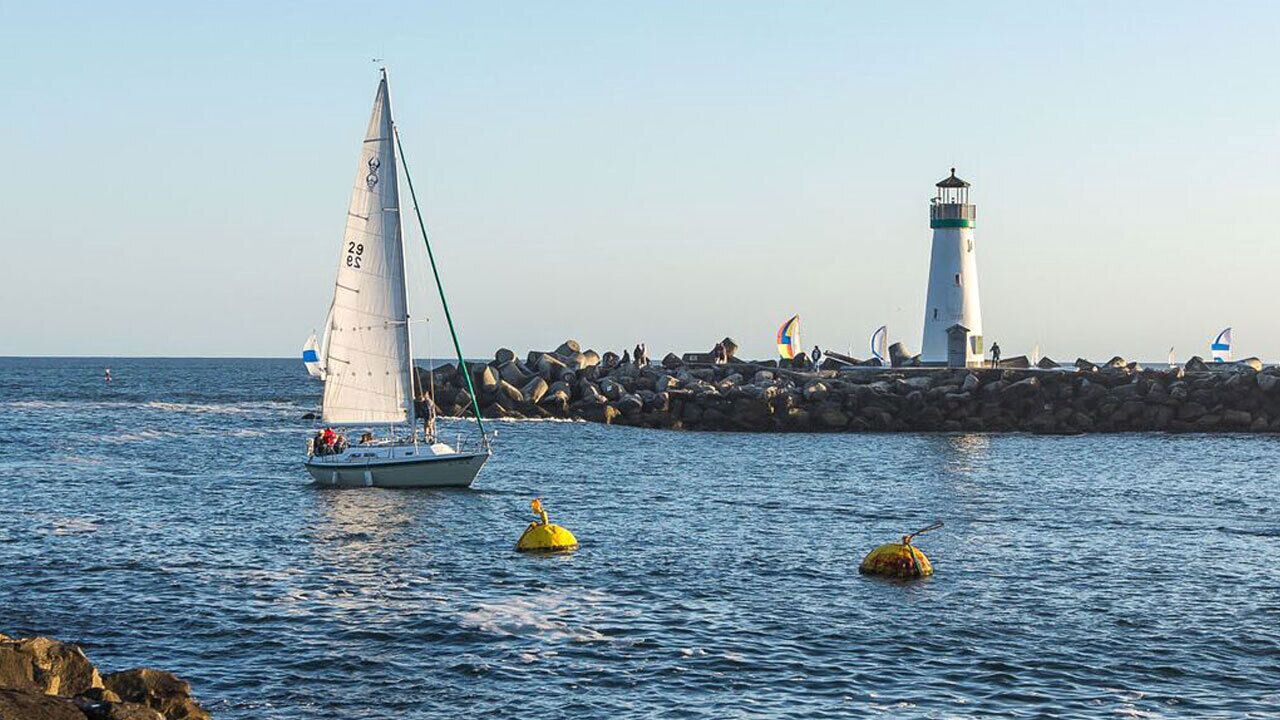 Photo of Others in Seabright