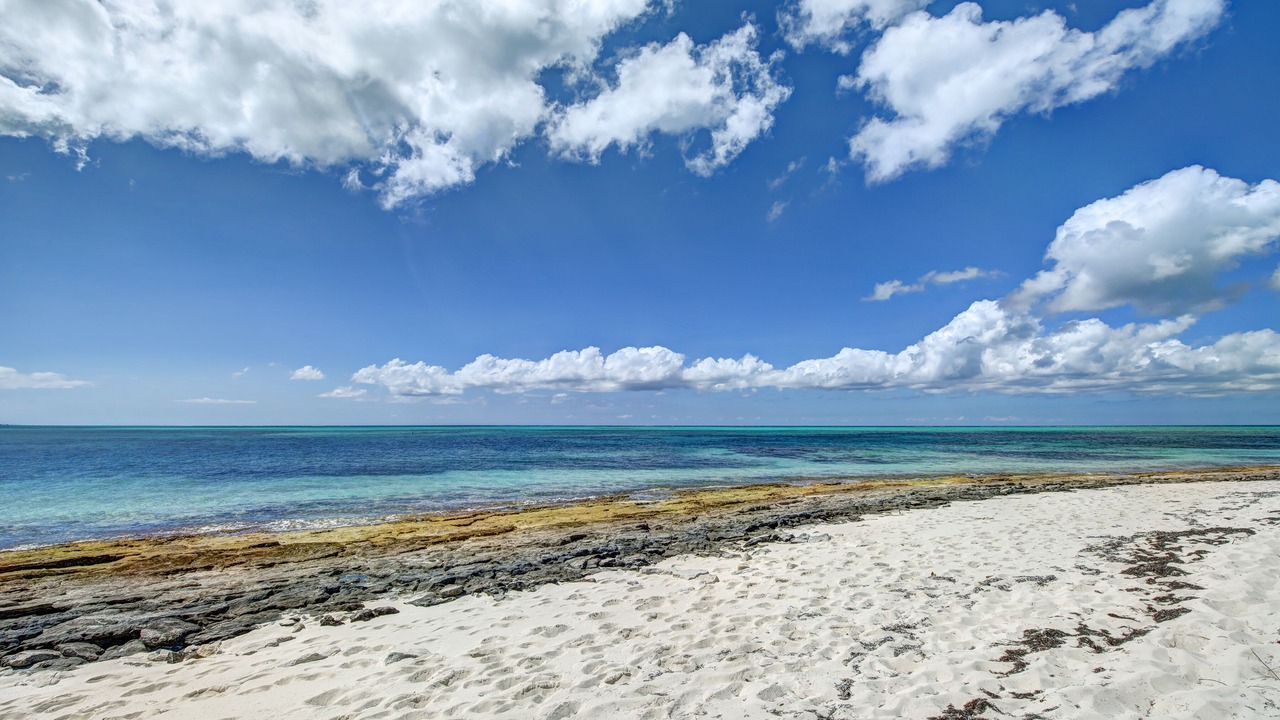 Photo of Others in The Bight