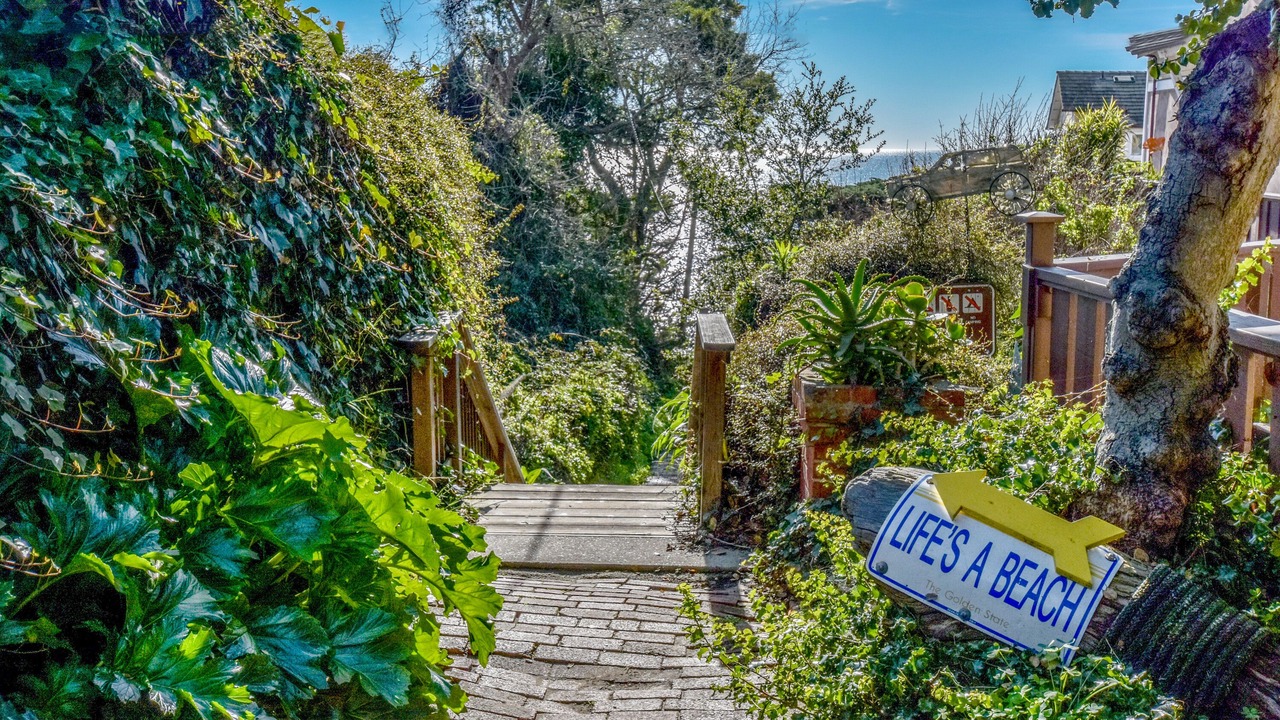 Photo of Outdoor in Aptos