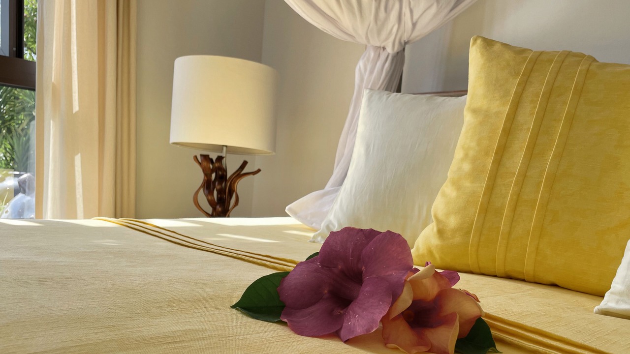 Photo of Bedroom in Anse Royale