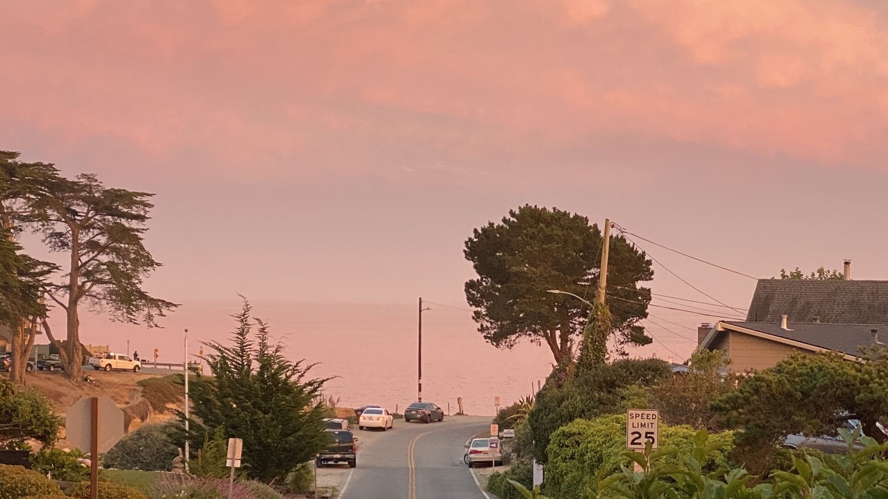 Photo of Others in Eastside Santa Cruz