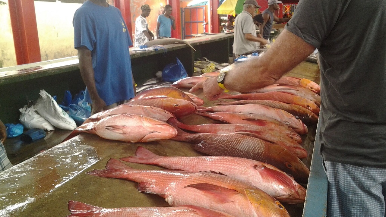 Photo of Others in Mahe Island