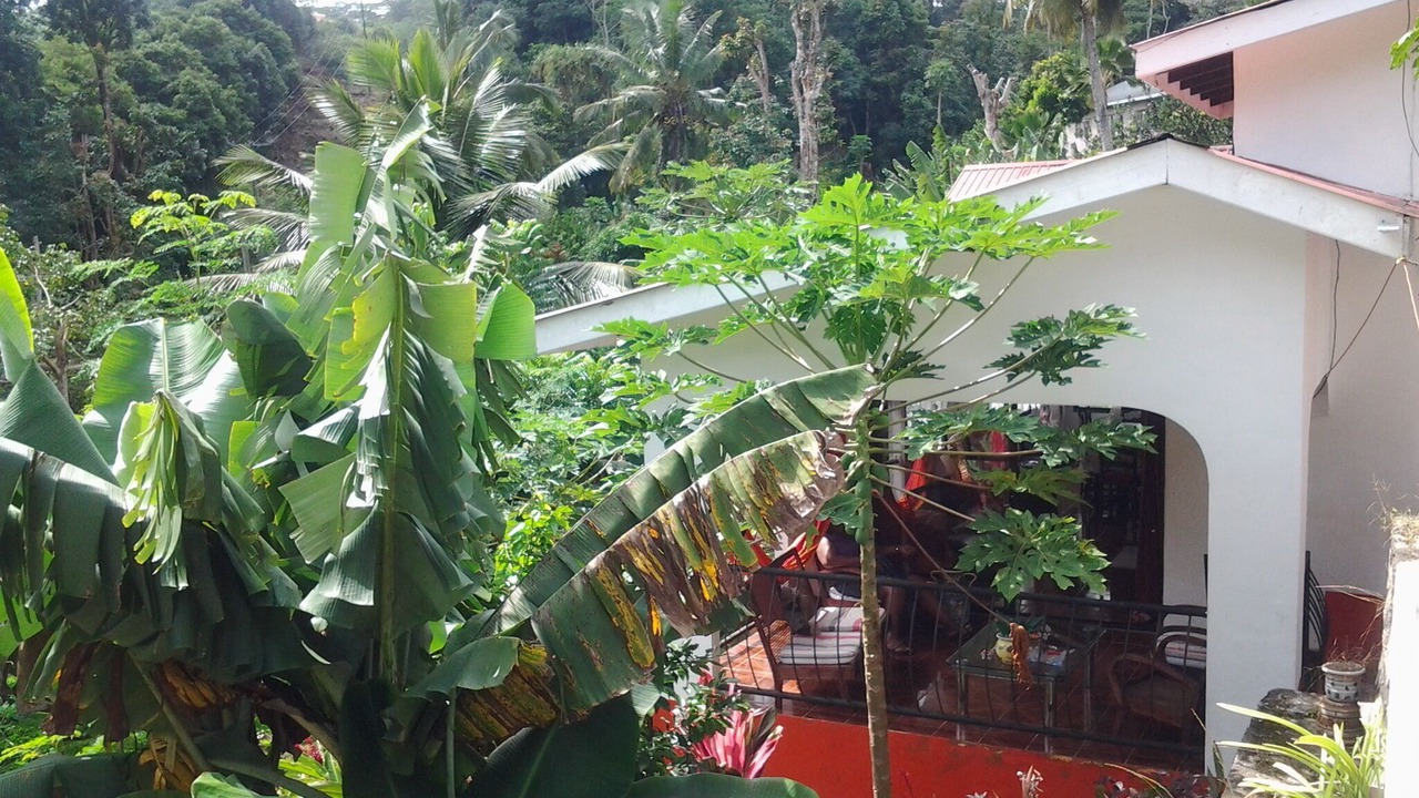 Photo of Outdoor in Mahe Island