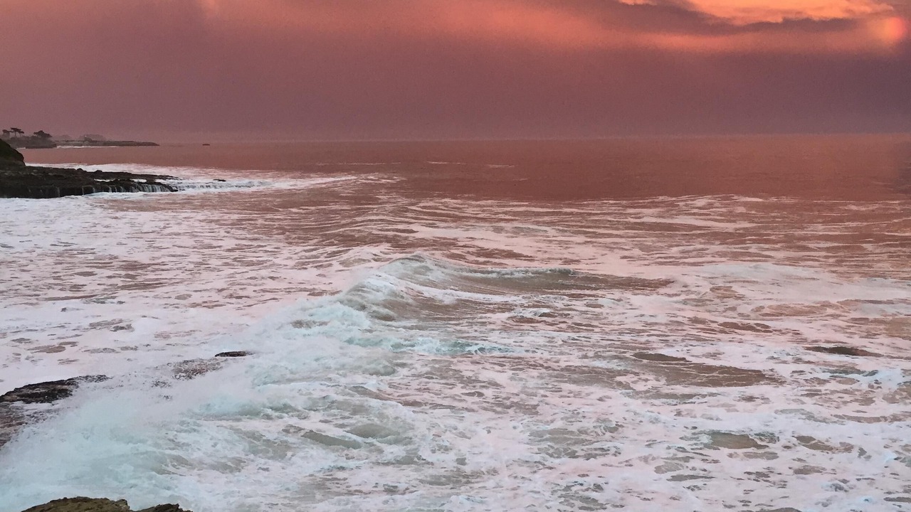 Photo of Others in Westside Santa Cruz