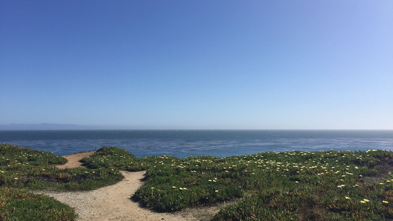 Photo of Others in Westside Santa Cruz