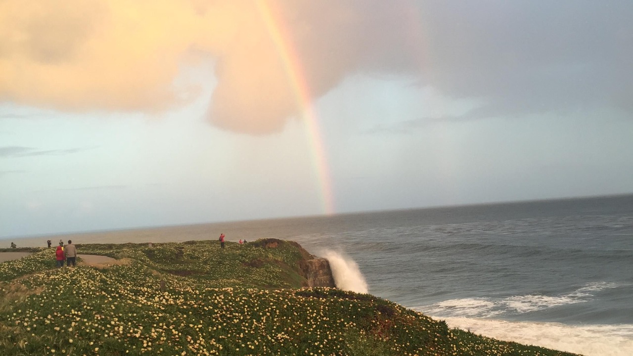 Photo of Others in Westside Santa Cruz