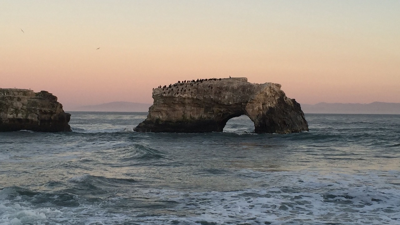 Photo of Others in Westside Santa Cruz