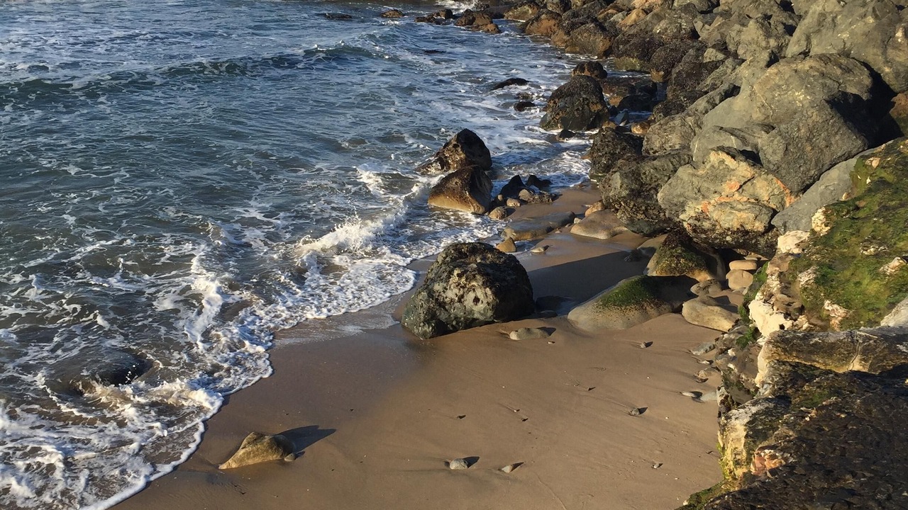 Photo of Others in Westside Santa Cruz