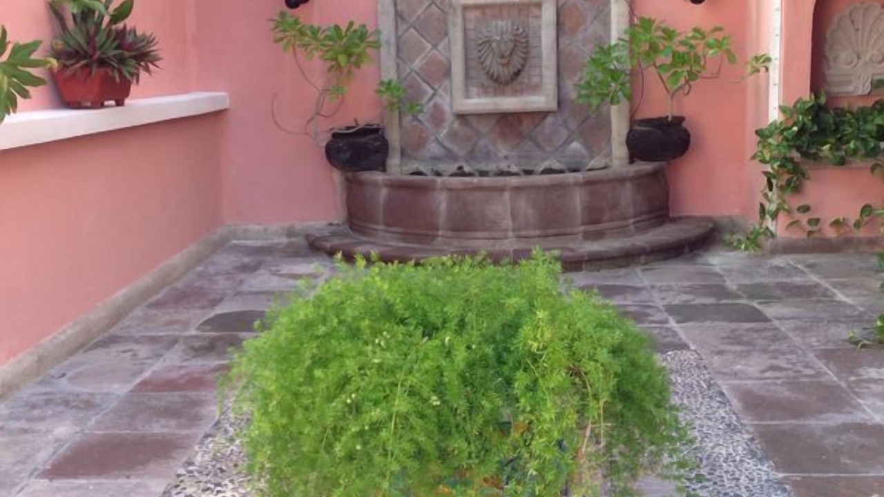 Photo of Outdoor in Punta Cancun